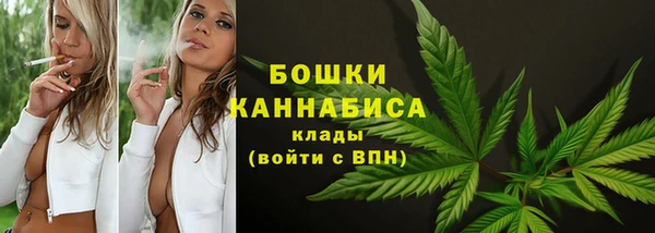 тгк Пересвет