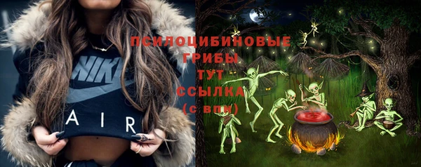синтетический гашиш Алексеевка
